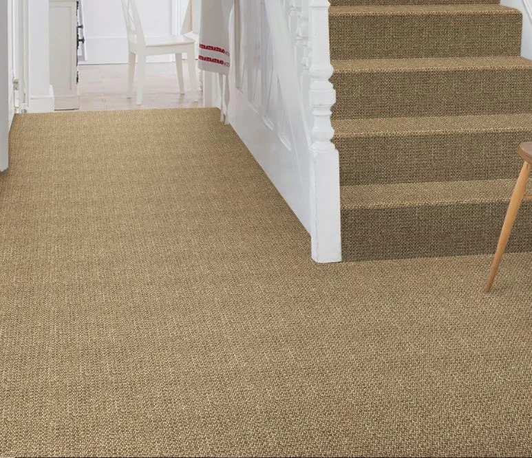 Sisal Carpets